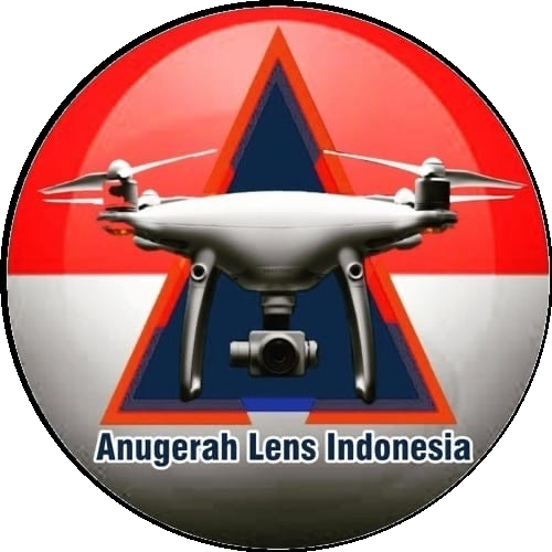 Logo Anugerah Lens Indonesia